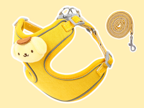 Small Dog Vest-Style Breathable Colorful Leash