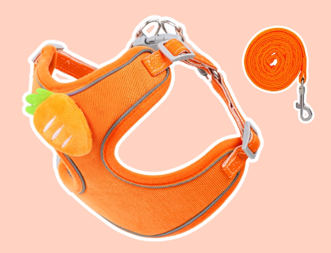 Small Dog Vest-Style Breathable Colorful Leash
