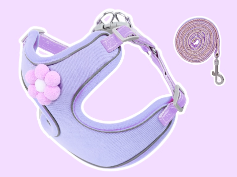 Small Dog Vest-Style Breathable Colorful Leash