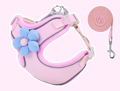 Small Dog Vest-Style Breathable Colorful Leash