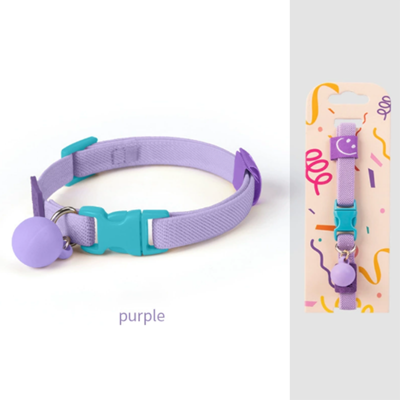 Personalized Stretch Pet Collar - DIY Kit