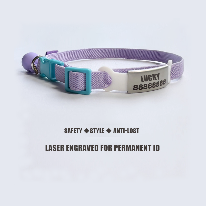 Personalized Stretch Pet Collar - DIY Kit