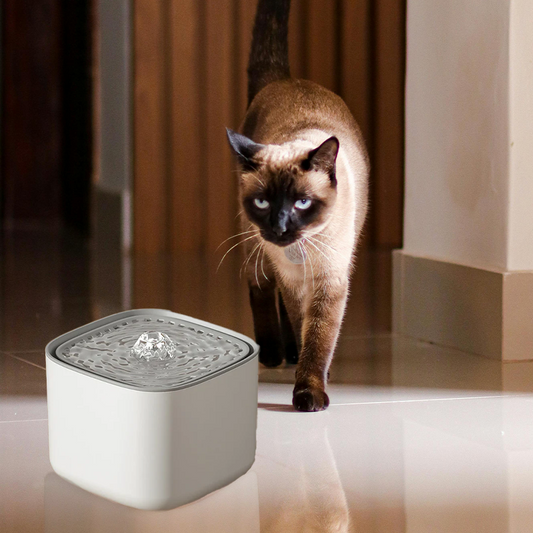 3L Electric Silent Cat Drinker with Automatic Circulation and Filtration