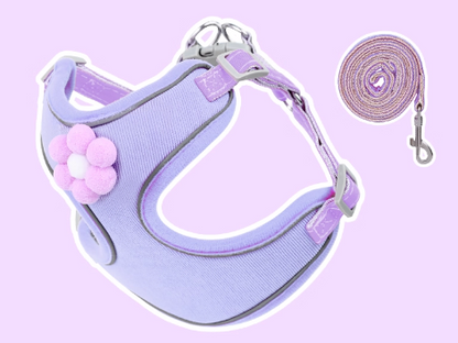 Small Dog Vest-Style Breathable Colorful Leash