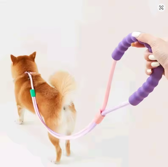 Versatile Pet Traction Leashes with a Foam Handle 1.5 Meter
