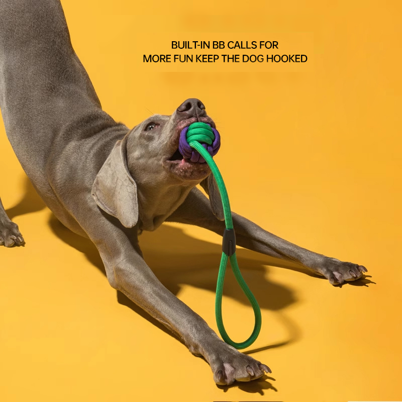 Dental Health Dog Rope Toy - Teeth Cleaning Chew Toy