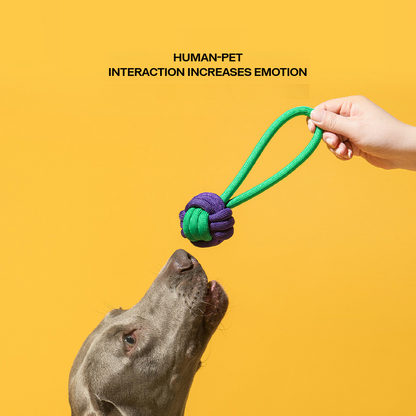 Dental Health Dog Rope Toy - Teeth Cleaning Chew Toy