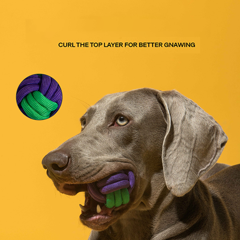 Dental Health Dog Rope Toy - Teeth Cleaning Chew Toy