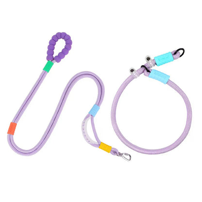 Versatile Pet Traction Leashes with a Foam Handle 1.5 Meter