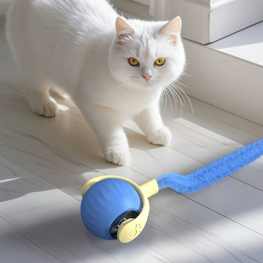 Electric Elastic Cat Ball