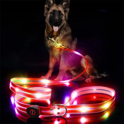 Led Dog Leash Walking Safety USB Rechargeable