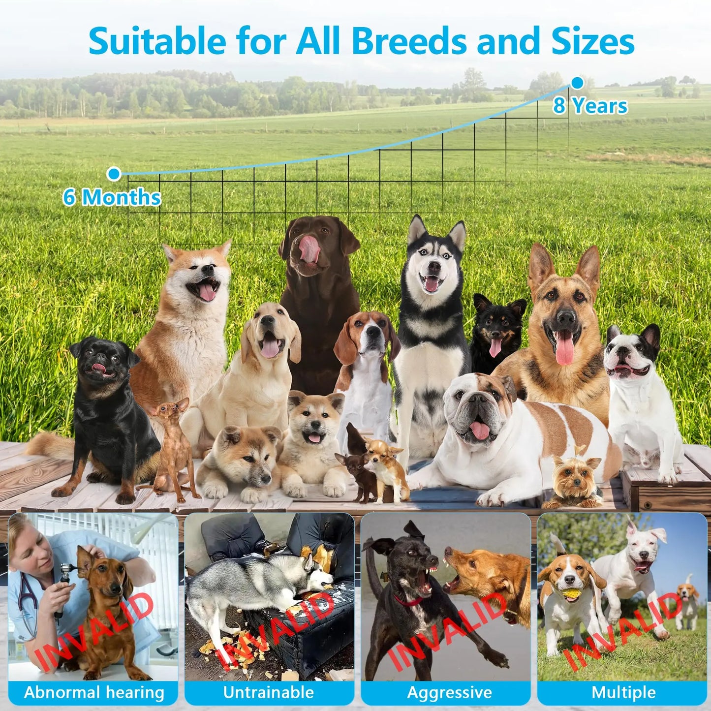 Ultrasonic Anti Barking Device for Dog