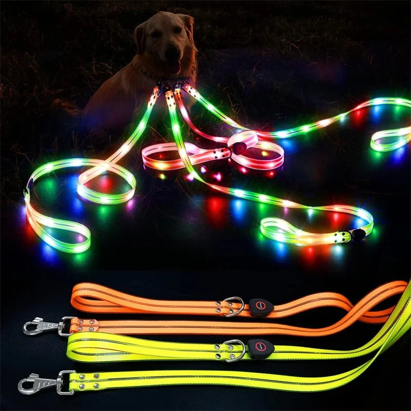 Led Dog Leash Walking Safety USB Rechargeable