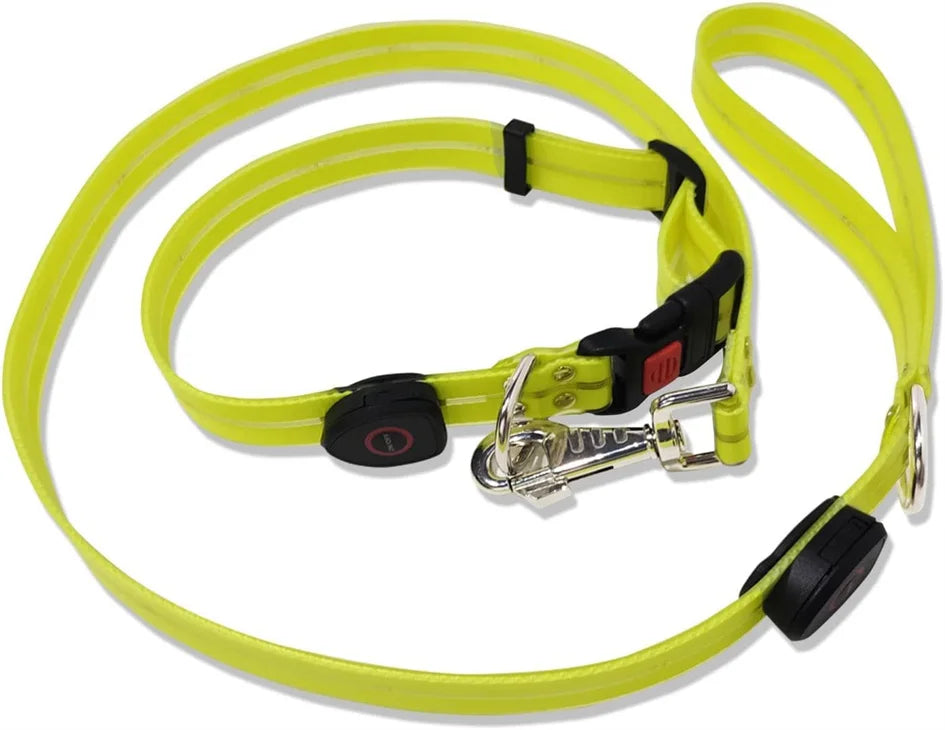 Led Dog Leash Walking Safety USB Rechargeable