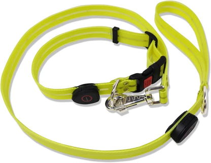 Led Dog Leash Walking Safety USB Rechargeable