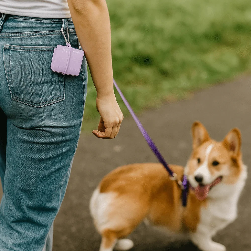 Lightweight Anti-slip Foldable Pet Bowl with Carabiner