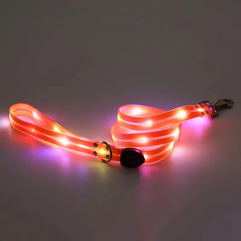 Led Dog Leash Walking Safety USB Rechargeable