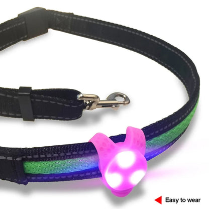 Glowing LED Pendant for Pet Collars