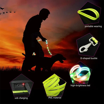 Led Dog Leash Walking Safety USB Rechargeable