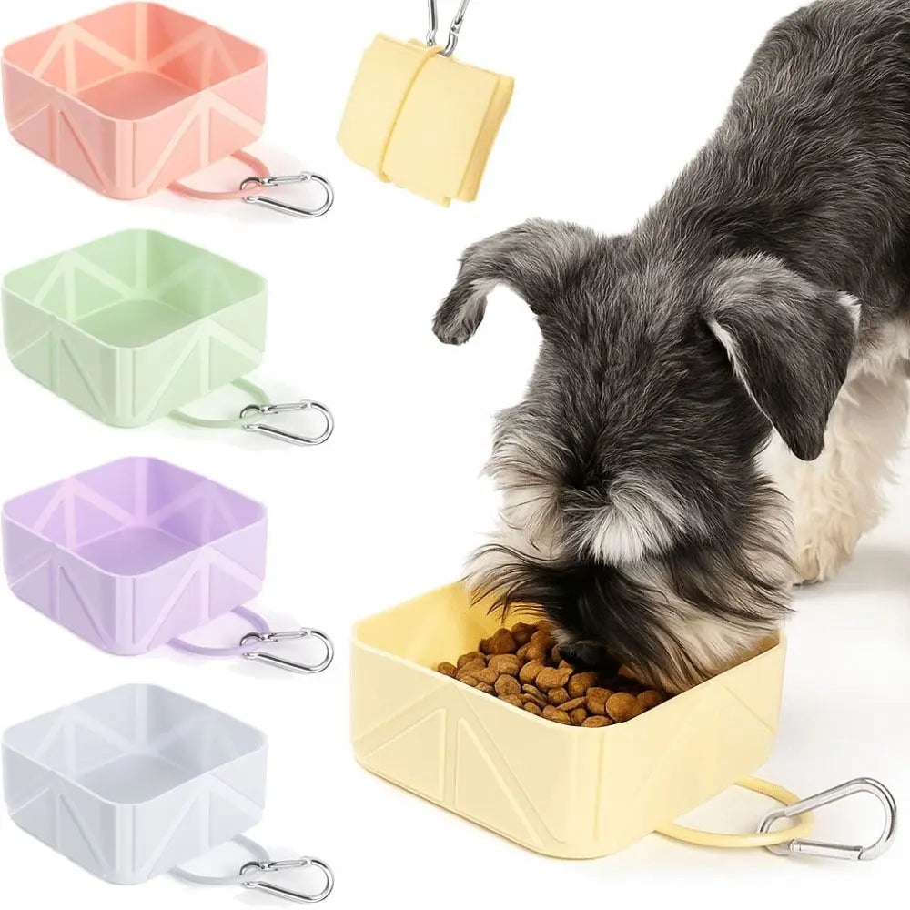 Lightweight Anti-slip Foldable Pet Bowl with Carabiner