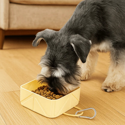 Lightweight Anti-slip Foldable Pet Bowl with Carabiner