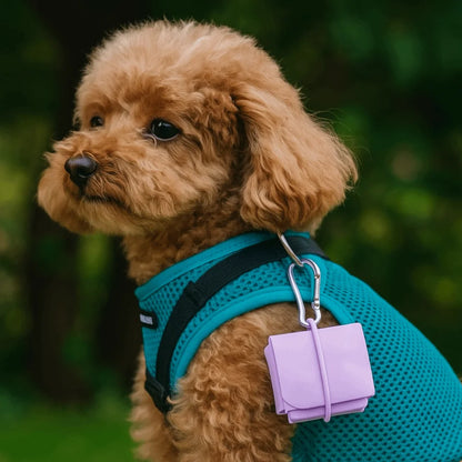 Lightweight Anti-slip Foldable Pet Bowl with Carabiner
